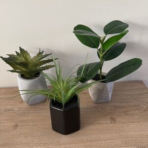 Target Project 62 Faux Plants (set 3)